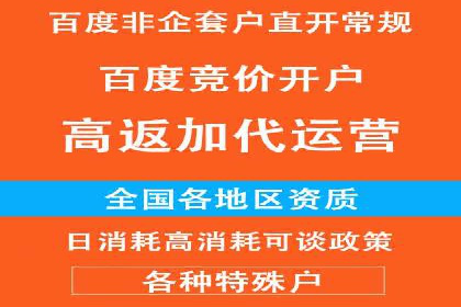 包年推广新篇章：百度竞价的多维度应用案例